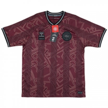 Denemarken Special Shirt 2024-25
